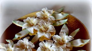 Valkoisia liljoja hääkakkuihin