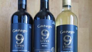 Gato negron 9 lives testauksessa. #viini #punaviini #punkku #valkoviiniä #valkkaria #lasissanyt #herkkusuu #lautasella #herkkusuunlautasella #lasissaviiniä #viiniäkiitosInstagrammissa juuri nyt: