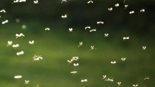 Hyttysmyrkkyä ja vuotavia kalvopukuja