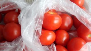 Kuukauden kasvis - helmikuu: tomaatti
