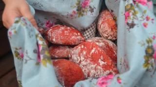 Leipäviikko: Syyssämpylät eli punajuuri-porkkanasämpylät