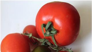 Oodi mitä yksinkertaisimmalle mutta niin herkulliselle tomaattiannokselle sekä lounas Trattoriassa
