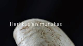Sienimunakas - "Don't crowd the mushrooms!"