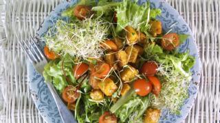 Raikas ja ravitseva lupiinitempe-salaatti