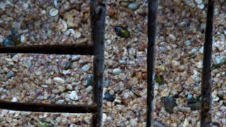 Napostelua vastaan – maailman parhaat granolapatukat