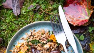 Sorsaa ja sieniä – paistettu sorsanfilee on syysherkku